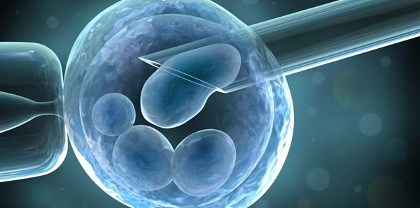 收好你的"玻璃心"!夜针时间表告诉你,晚几分钟真没影响