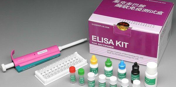 解读2种torch检查方法：PCR检测可减少血清学假阳性诊断