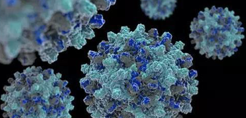 乙肝五项指标检查哪些,了解抗体|抗原,分开认识更详细