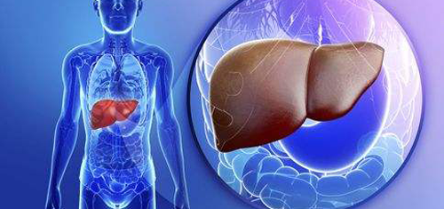 乙肝五项指标结果,了解乙肝两对半对照表,只因检测复杂