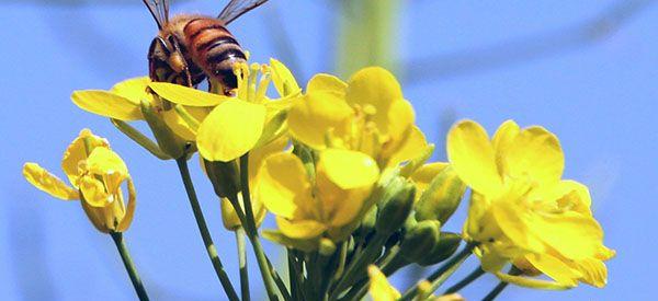 宝宝喝纽康特氨基酸奶粉后反而长湿疹是怎么回事？