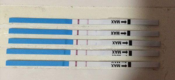 有康乃格早孕试纸怀孕的结果图吗？
