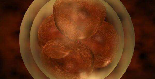 医生:正确了解受精卵着床时准妈妈感觉,以防疾病混淆