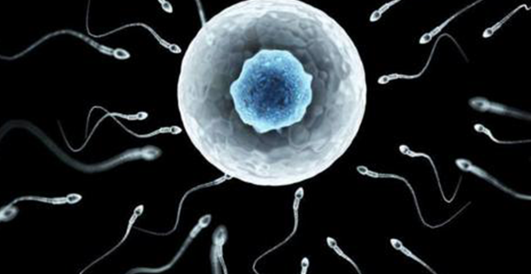 中信湘雅精子库申请供精试管，这3个条件必须满足！