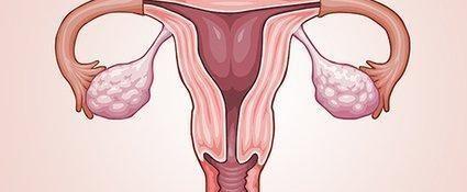 国内做完子宫移植手术之后能生孩子吗？