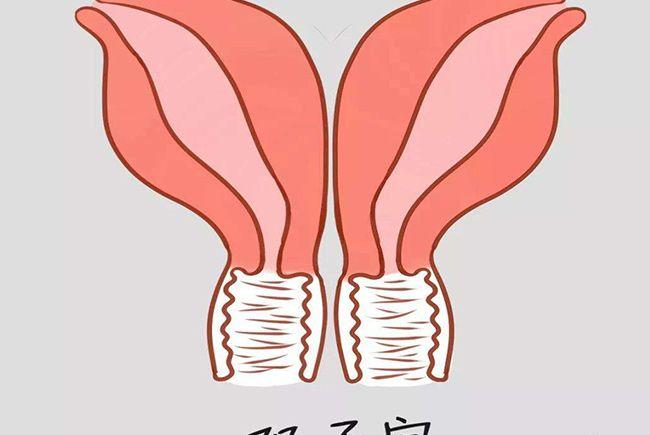 确诊双子宫至今已有2年，请问还能生孩子吗？