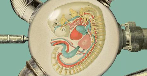 这10个行为很伤子宫，你千万不要中招！