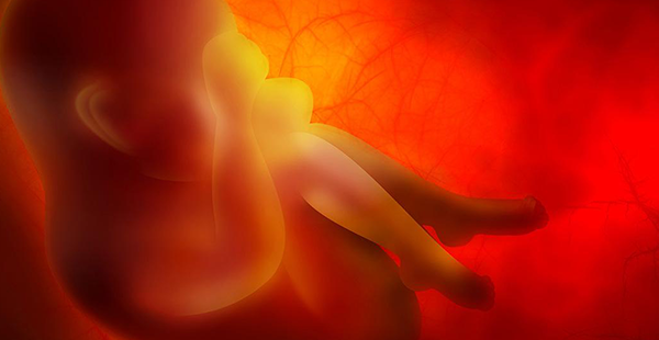 纵隔子宫能生孩子吗？胎儿会畸形吗？