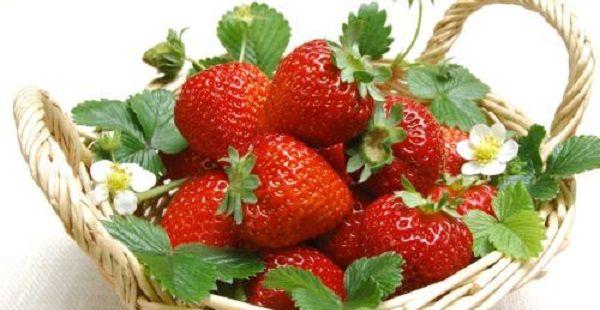 子宫前位好怀孕吗？有什么受孕技巧？