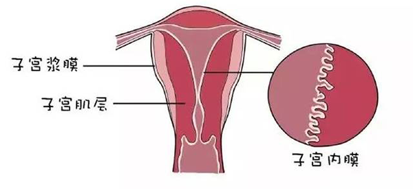 内膜蠕动频繁可以进行试管胚胎移植吗？