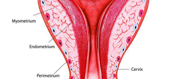 高龄女性做内膜活检不打麻药痛不痛？