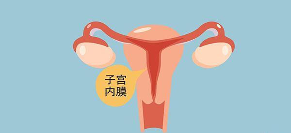 做试管前吃什么薯类食物对内膜好？