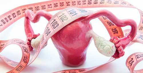 不同时期的子宫内膜厚度表格,与性激素关系一目了然