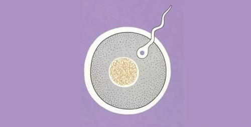 监测卵泡3个无优势卵泡，选对试管婴儿促排卵方案很关键