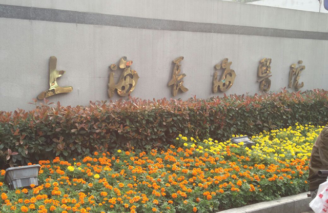 长海医院试管婴儿成功率有多高？上海本地人告诉你答案