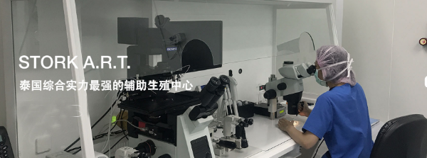 泰国嗣道STORK医院导航，试管婴儿那些谣言不可信！