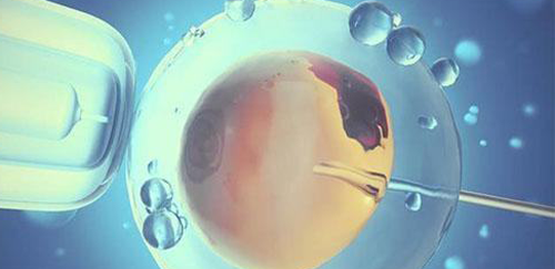 自然周期与人工周期哪一个好?医生:适应人群是选择关键