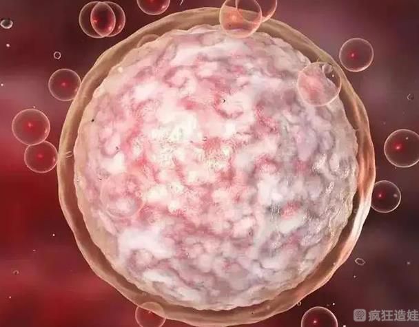 淄博中西医结合医院借卵三代试管婴儿生男孩价格多少，费用大概要多少钱？