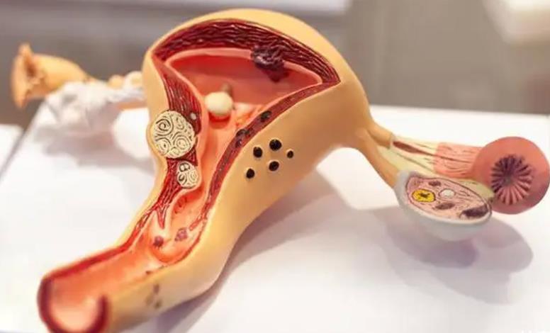 试管内膜活检临床意义一文通，3大作用有助提高试管几率