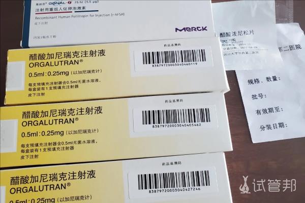 杭州市妇幼保健院第二代试管婴儿移植后感受分享