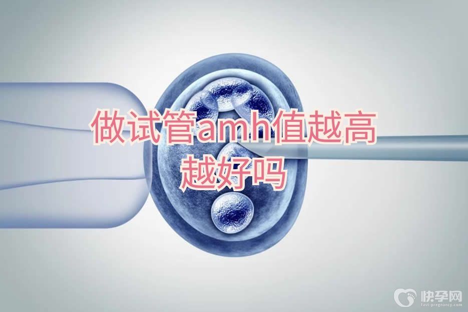 做试管婴儿amh值并非越高越好-专家解释amh值≠生育力