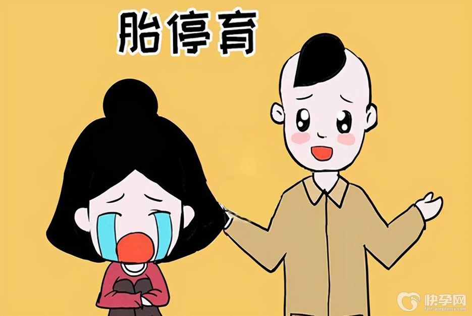 试管婴儿胎停育的主要因素，了解原因才能有效预防