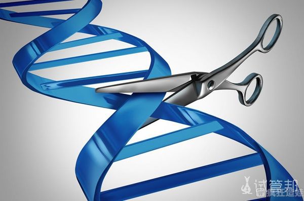 乌克兰阿尔尼斯医院第三代试管婴儿之旅