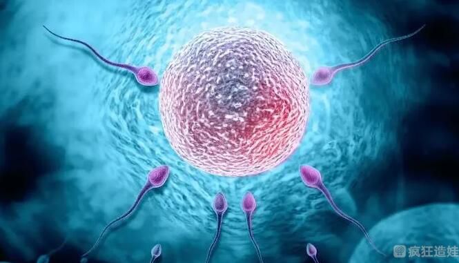 揭阳做第三代试管婴儿生男孩的医院有哪些？附揭阳试管婴儿技术区别？