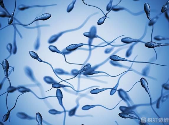 使用供精做二代试管婴儿费用是多少？附费用明细！