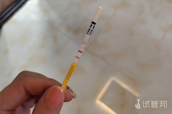 烟台市烟台山医院试管婴儿成功，移植后注意事项分享