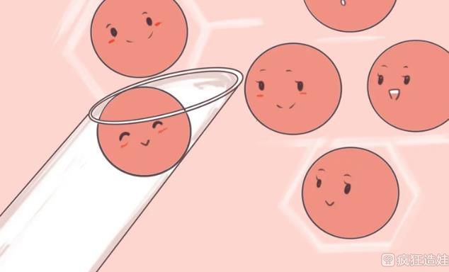 男性精子碎片率高会影响二代试管婴儿成功率吗？