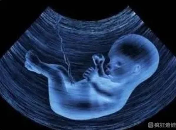 三代试管婴儿出生的孩子被证明最多活到45岁是真的吗？