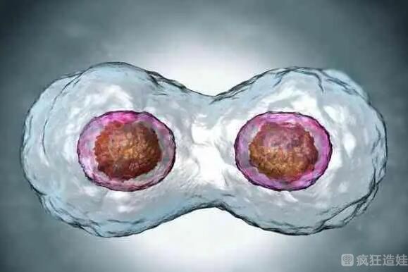 国内私立医院做第三代试管婴儿真的可以百分百要男女吗？附详细流程？