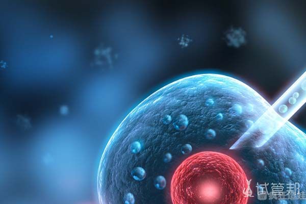 海外第二代试管婴儿，我们终于迎来了爱情结晶