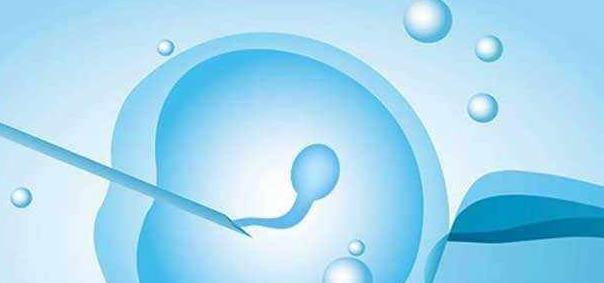 有没有姐妹是为了三胎生儿子去做试管的吗？