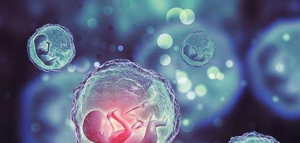 试管养囊10天通知结果有三个原因，胚胎发育慢是其一！