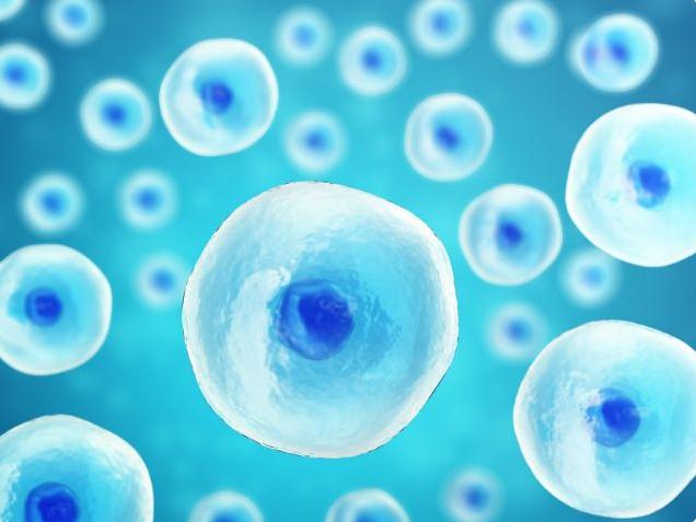 试管婴儿聪明吗？男孩更聪明还是女孩更聪明？