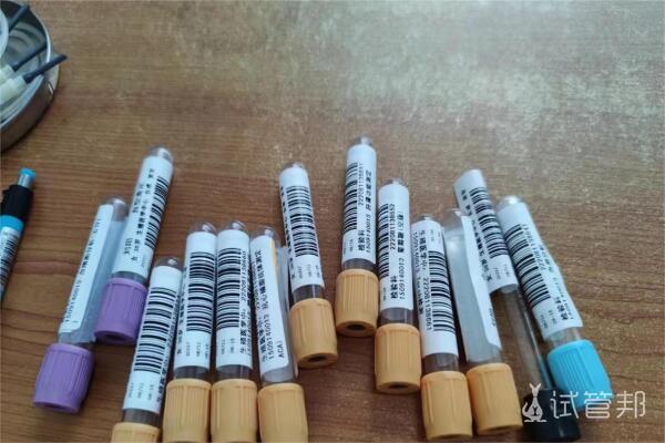 北华大学附属医院试管婴儿能不能好孕