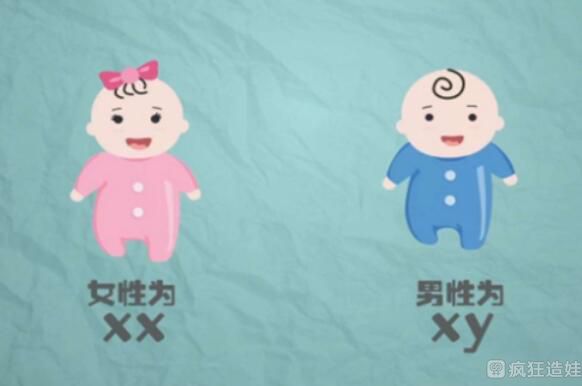 国内私立医院做第三代试管婴儿包生男孩价格多少钱？五万元能做成功吗？