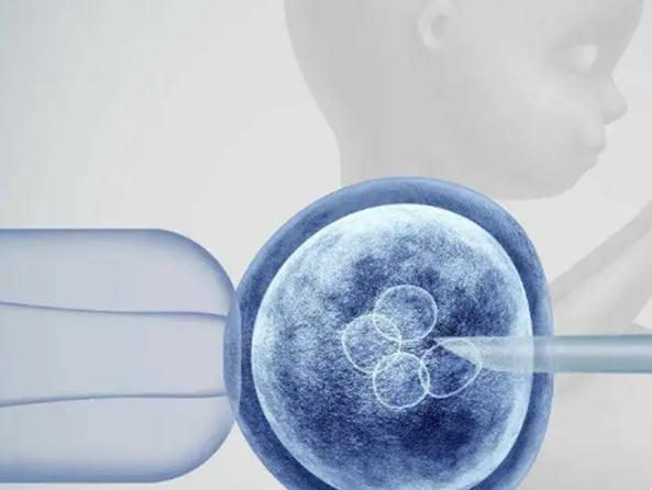 32岁男性双侧输精管先天性缺如做三代试管怀孕成功率有多少?