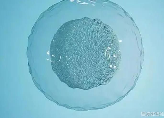 Amh0.06第四代试管婴儿促排卵还能产生多余的卵泡吗？