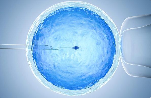 别问供精做试管好还是人授好，看完二者区别可轻松判断