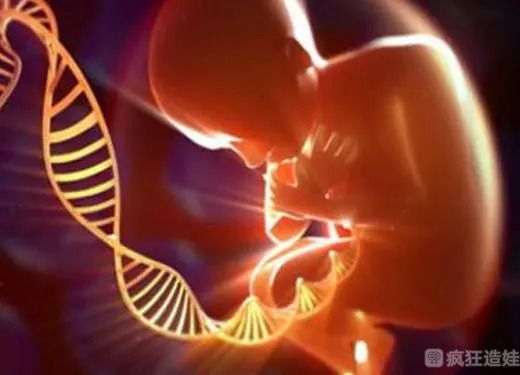 重庆妇幼保健院第三代试管婴儿能活多久？第三代试管婴儿寿命是不是很短？