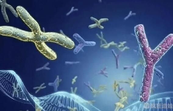 深圳第三代试管婴儿选性别私立机构排名？附详细情况？