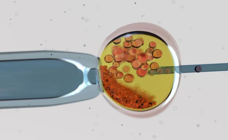 山东有没有卵子库？附2023山西供卵试管热门医院推荐