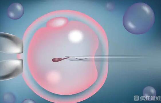 借卵做二代试管婴儿的费用要多少钱？附借卵费用明细