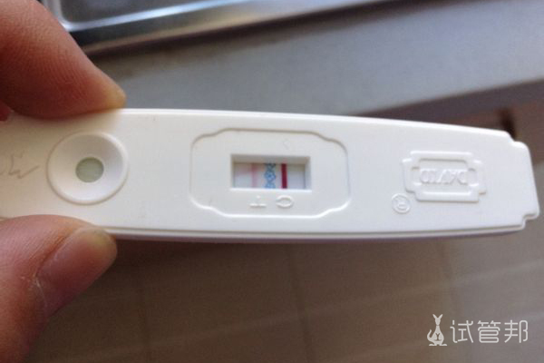 沧州市妇幼保健院试管婴儿一次成功，喜迎双胎超顺利