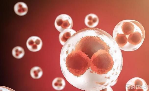 周口三代试管婴儿医院排名一览，附助孕机构成功率排名？