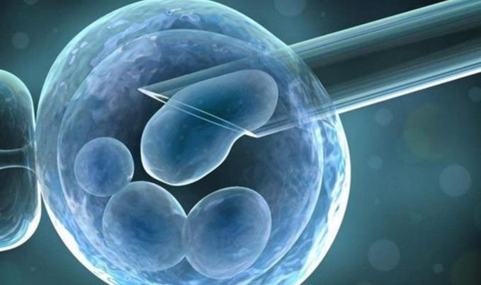 做第三代试管婴儿取了15个卵子才成了四个胚胎是因为质量差吗?