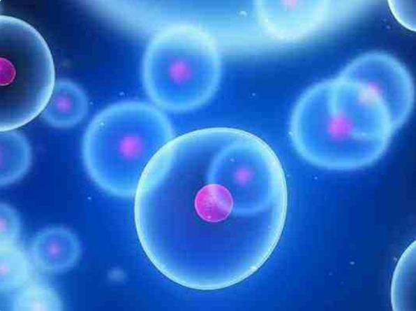 移植冻胚用激素替代周期和人工周期有什么区别?